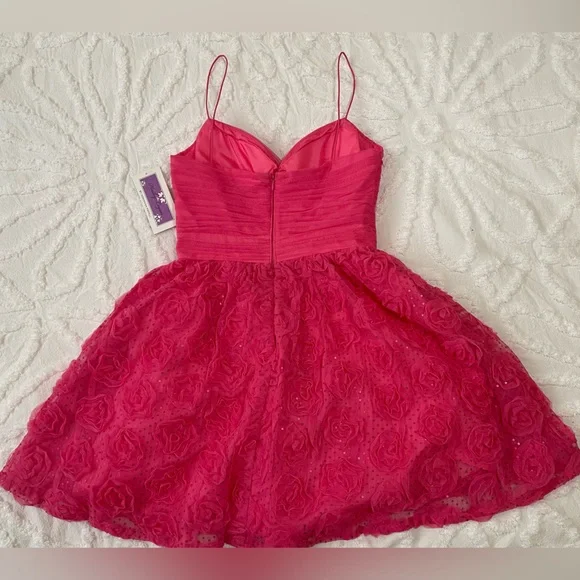 NWT Sparkly Pink Semi-Formal Dress - Picture 4 of 10